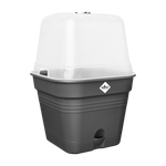 green basics growpot square allin1 30cm living black